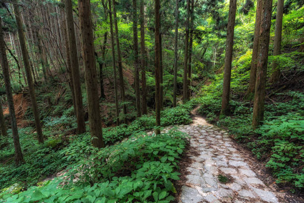 istock Nakasendo hiking trail 2177545415
