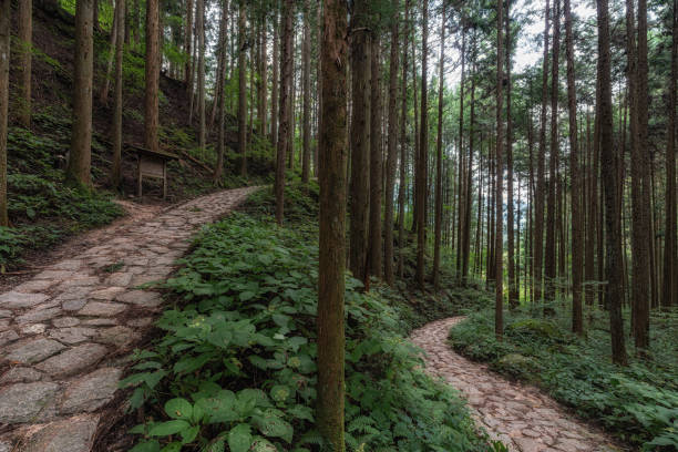 istock Nakasendo hiking trail 2177545417