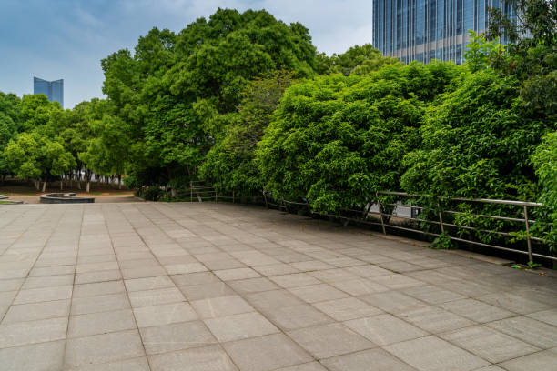 istock Empty square floor and green forest natural landscape 2177546030
