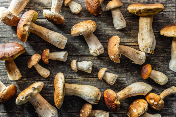 istock Fresh boletus mushrooms on wooden table. 2177546207