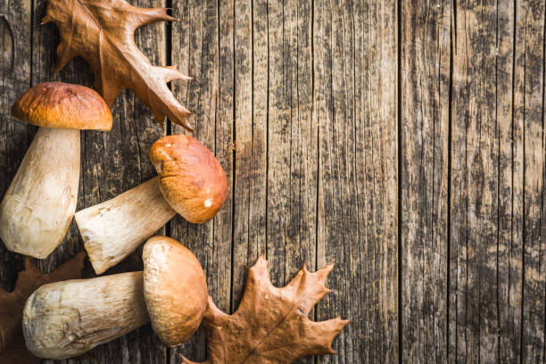 istock Fresh boletus mushrooms on wooden table. 2177546208