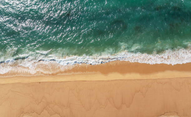 istock Ocean foam covering beautiful long sandy beach. 2177546306