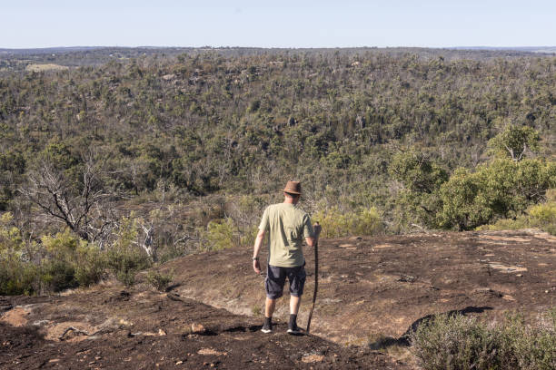 Man wearing a hat walks with a stick down a granite outcrop to a lookout over bushland in north west New South Wales, Australia
