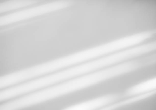 istock Shadow light summer background sunight overlay nature on room cement wall floor abstract blur muckup effect grey minimal platform for presentation product backdrop, wallpaper template display. 2177547719