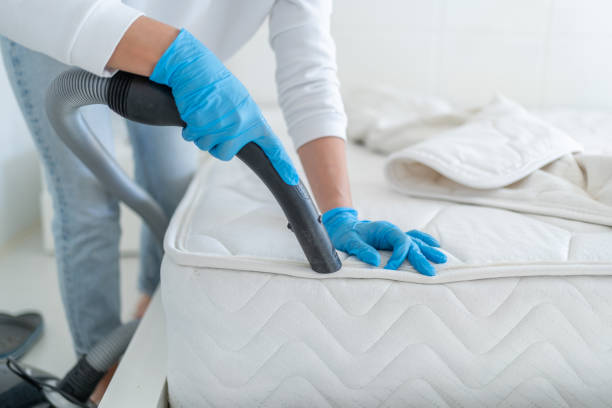 istock Woman Cleaning Bed From Dirt And Bacteria 2177550369