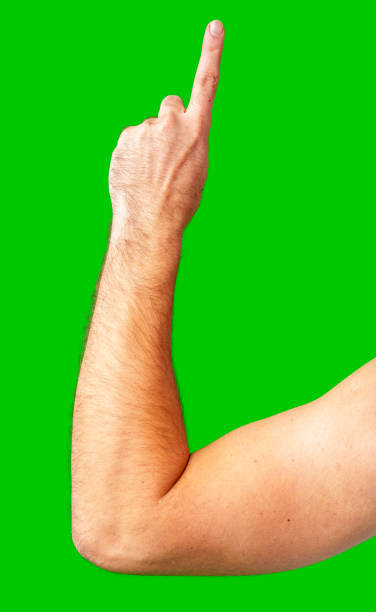 istock human arm gesturing with raised fingers against a bright green backdrop 2177553993