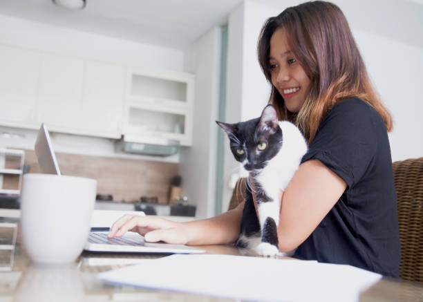 istock Young Indonesian woman studying at home while holding her cat 2177554732