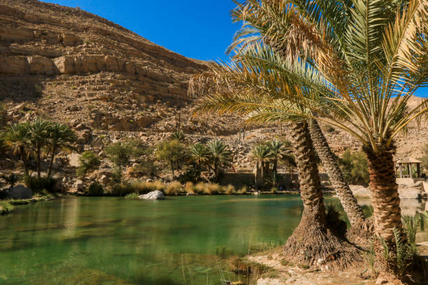 istock Discovering Wadi Shab Oasis in Oman with palm trees framing the serene green waters beneath a clear blue sky 2177555749