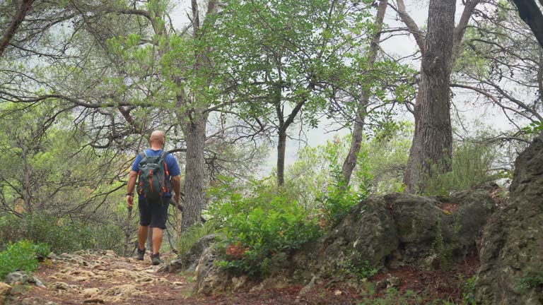 Back view of a man hiking in the foggy forest in autumn day