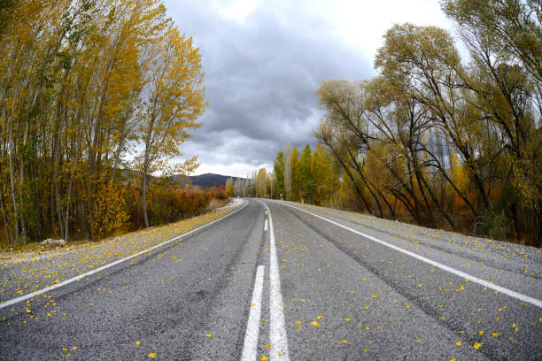 Autumn road landscape