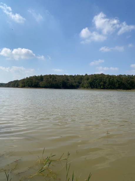 istock A large pond in a nature park 2177558343