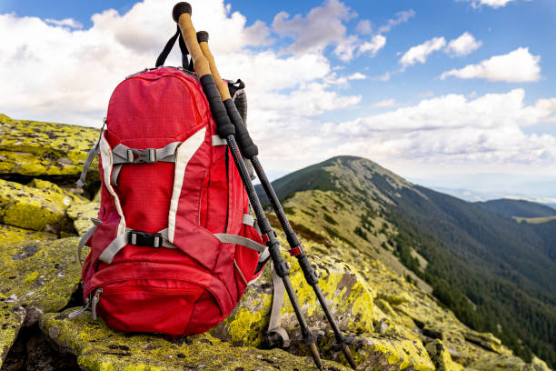 istock Hiking in the mountains with a backpack in summer. 2177559566