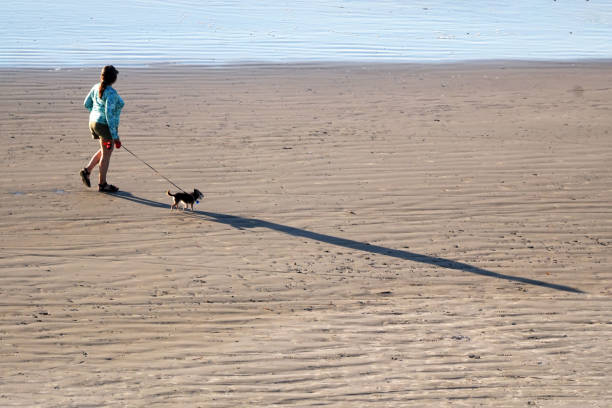 A woman walks her small dog in a high-angle photo on the beach in Port Aransas, Texas. The early morning sun creates long shadows and accentuates line patterns in the sand.