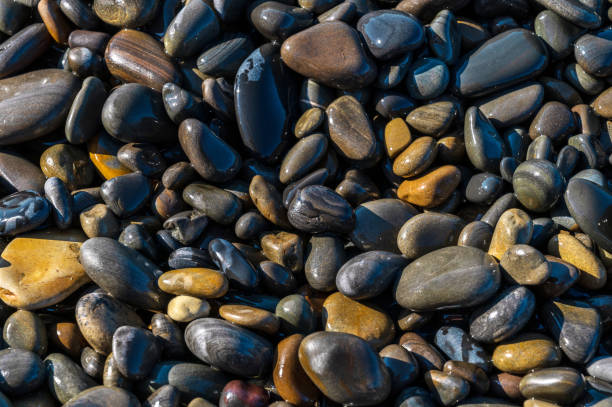 istock Wet sea pebbles close-up. 2177560145
