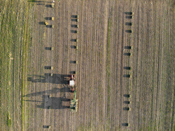 istock Green Agricultural fields, people working with machinery 2177574073