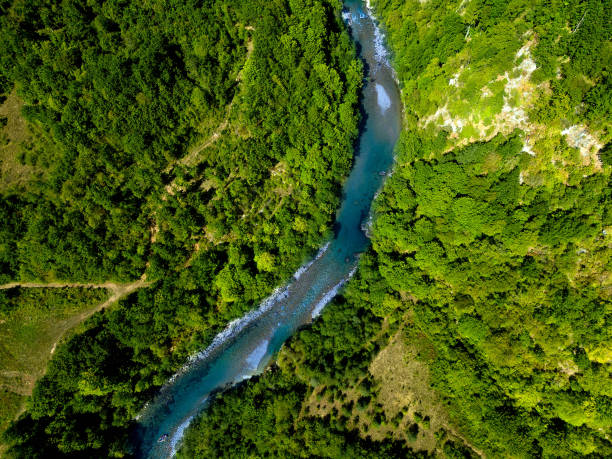istock Mountain river flowing through the forest. Aerial view 2177577357