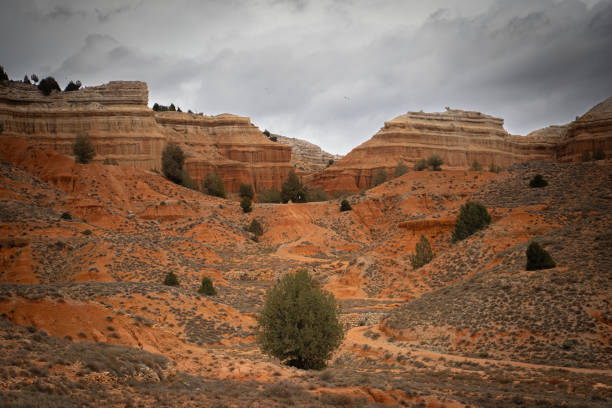 The Red Canyon of Teruel or also known as the Rambla de Barrachina in Villaespesa, is the particular far west of the province of Teruel. It is just 5 kilometers from the city and it is very worth visiting to see the unique formations in addition to the powerful reddish color. In February, the almond trees in the fields offer a wonderful spectacle when they bloom just before the arrival of spring. The white flowers stand out against the red background of the clay soils of the Canyon.