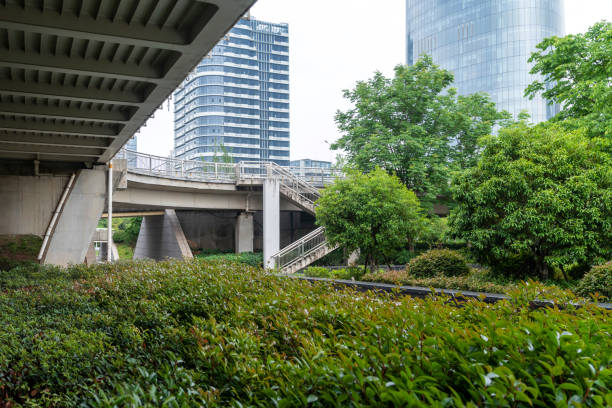 city park with modern building background in shanghai