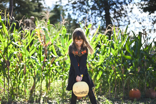 Cute child holding pumpkin