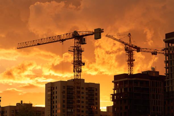 Crane silhouette during red sunrise