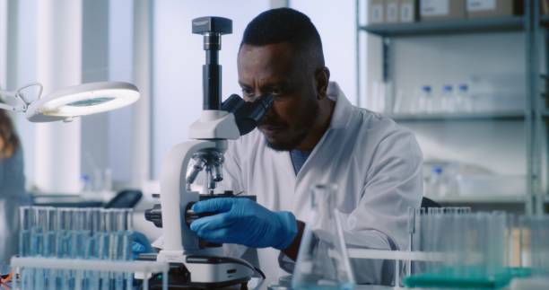 istock African American scientist looks under microscope, studies samples of new drug 2177596762