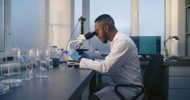 istock African American biochemist looks under microscope, does analysis of test sample 2177596980