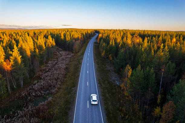 istock Car on idyllic road through the forest 2177597756