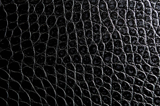 istock Crocodile skin artificial leather with customizable space for text or for mockup 2177597889