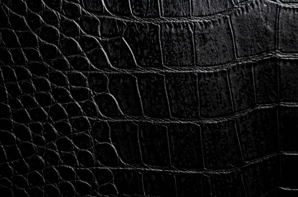 istock Close up of black crocodile skin artificial leather with customizable space for text or for mockup 2177597890