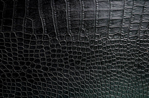 istock Black crocodile skin artificial leather with customizable space for text or for mockup 2177597905