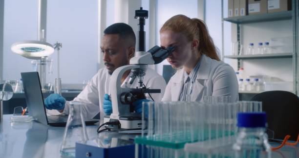 istock Two diverse scientists in medical laboratory using laptop and microscope 2177598076