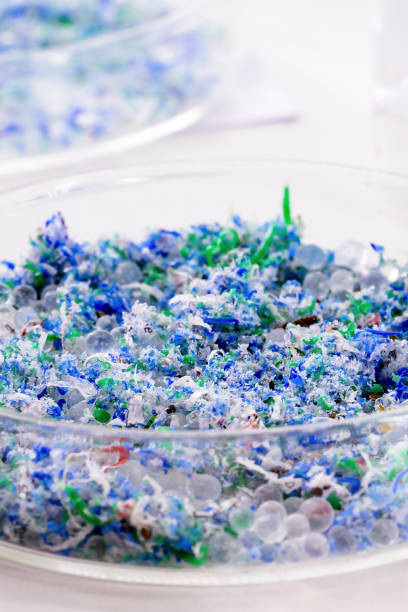 istock traces of plastic and microplastic in petri dish 2177599067