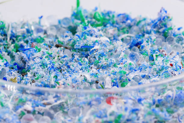 istock traces of plastic and microplastic in petri dishes 2177599080