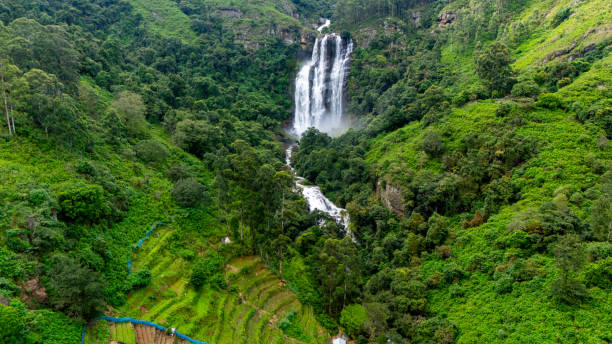 istock Stunning waterfall in lush Sri Lanka. A stunning waterfall flows through vibrant greenery in Sri Lanka, surrounded by steep hills and terraced fields, showcasing natural beauty. 2177599679