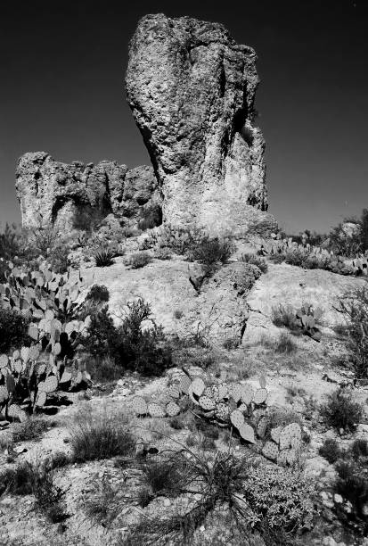 istock Film Image Sonora Desert Arizona Monochrome 2177599966