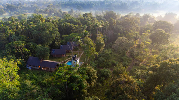 istock Serene getaway in Sri Lanka's greenery. A serene getaway in Sri Lanka featuring eco-friendly accommodations surrounded by verdant forests and gentle morning mist. 2177600305
