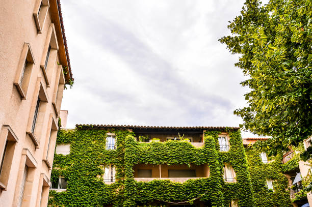 A building with ivy growing on it and a cloudy sky in the background. The building has a lot of windows and a balcony
