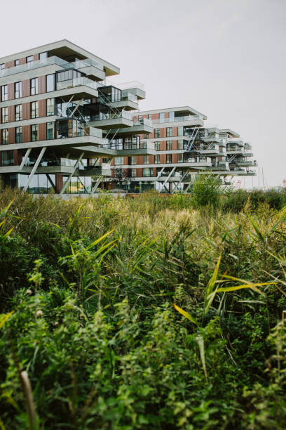 istock Contemporary Residences Surrounded by Nature 2177605385
