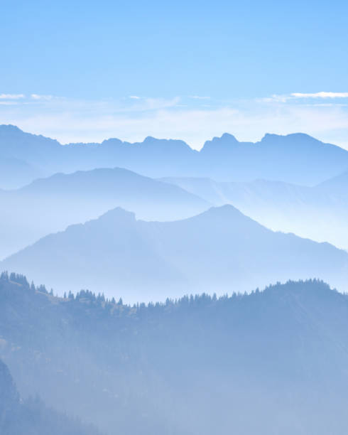 Thick fog in the forest. Heavy fog in the forest. Trees hang from the slopes in the fog. The forest is shrouded in fog. Coniferous forest in the clouds. Fog High in the mountains.
