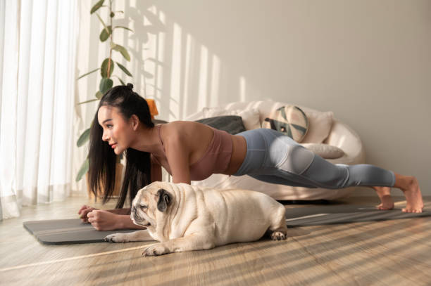 Asian woman in sportswear exercising and doing yoga with cute dog in living room at home, healthy lifestyle, Mental health concept. stock photo