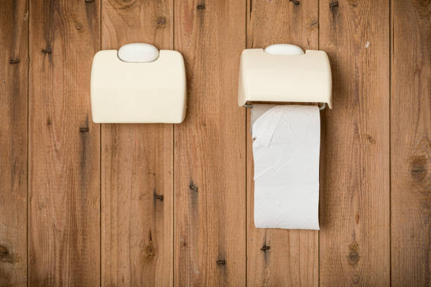 Two toilet tissue holders on outhouse wall, one empty, one with last remaining sheet