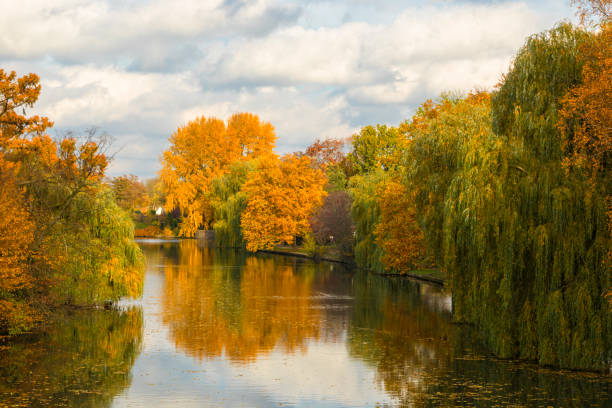 istock Alster river at Hamburg in autumn 2177616234