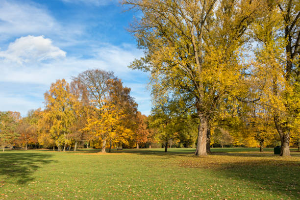 Stadtpark public park at Hamburg in autumn