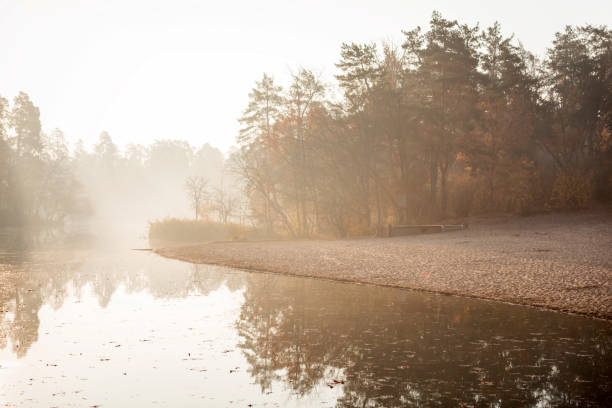 Autumn morning scenery. Forest covered in fog in the background, calm water reflecting the trees.