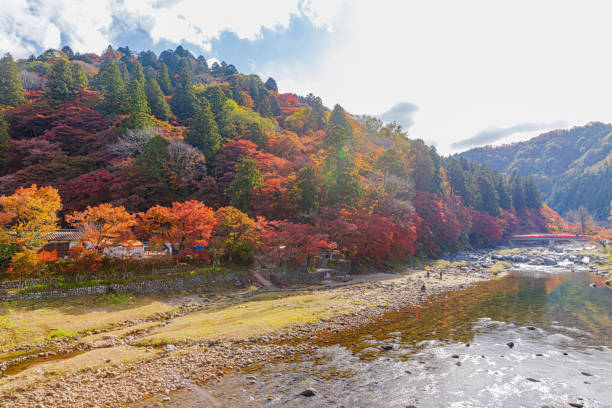 istock Autumn leaves in Korankei, Aichi Prefecture 2177621790