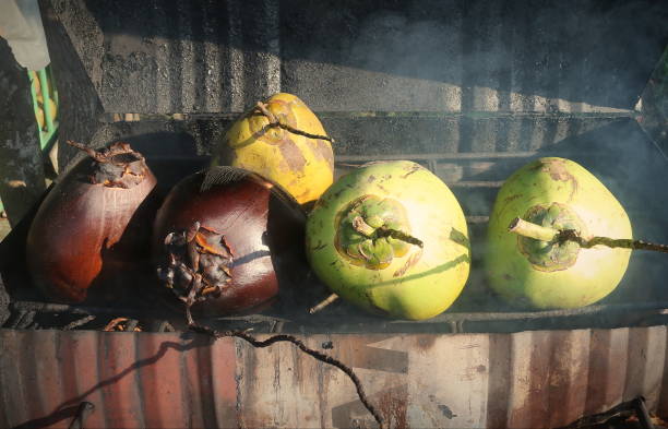 Young coconuts are being roasted before being eaten as a drink that has herbal medicinal properties. This is a traditional Indonesian drink which is believed to have properties for treating diarrhea, constipation, fever, dehydration, kidney disease, etc.