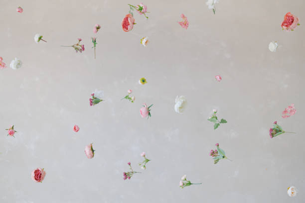 istock Floating Delicate Blooms Against a Soft Neutral Background 2177621858