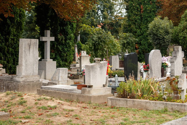 istock graves with flowers in a green cemetery 2177622003