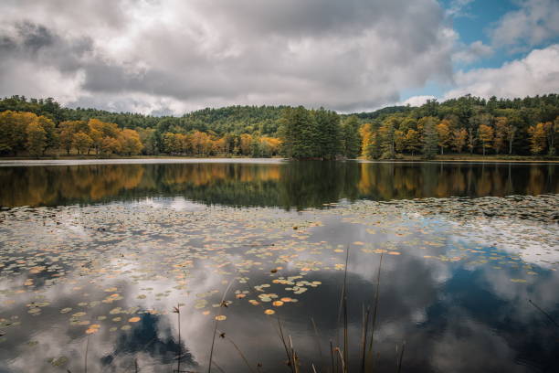 Early fall at Bass lake