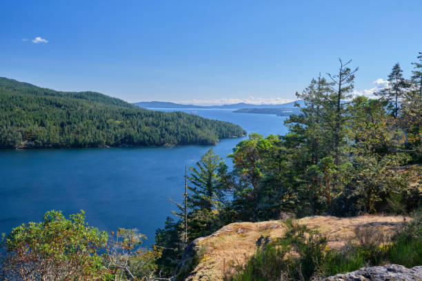 istock Lookout over beautiful Saanich Inlet at Salt Spring Island 2177624862